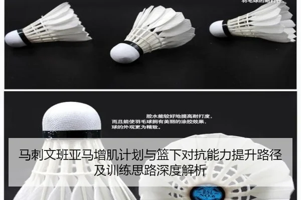 马刺文班亚马增肌计划与篮下对抗能力提升路径及训练思路深度解析