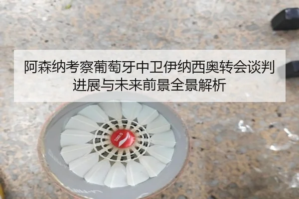 阿森纳考察葡萄牙中卫伊纳西奥转会谈判进展与未来前景全景解析
