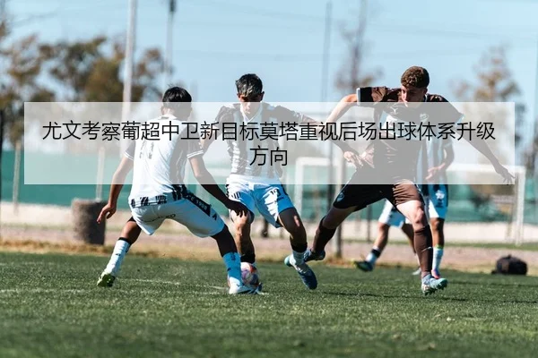 img_1783872511839_2630_1_813.jpg